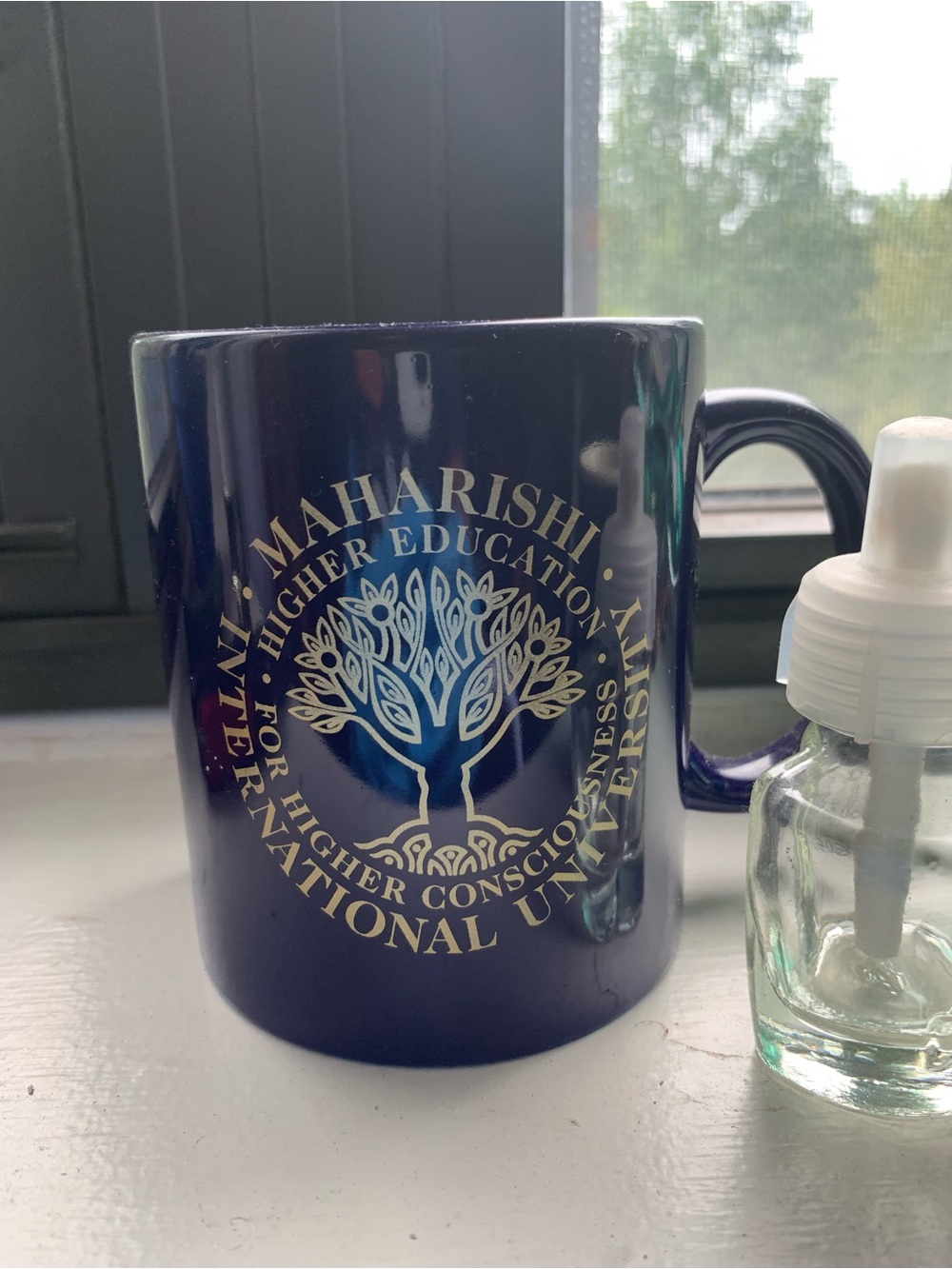Navy Blue Logo Mug